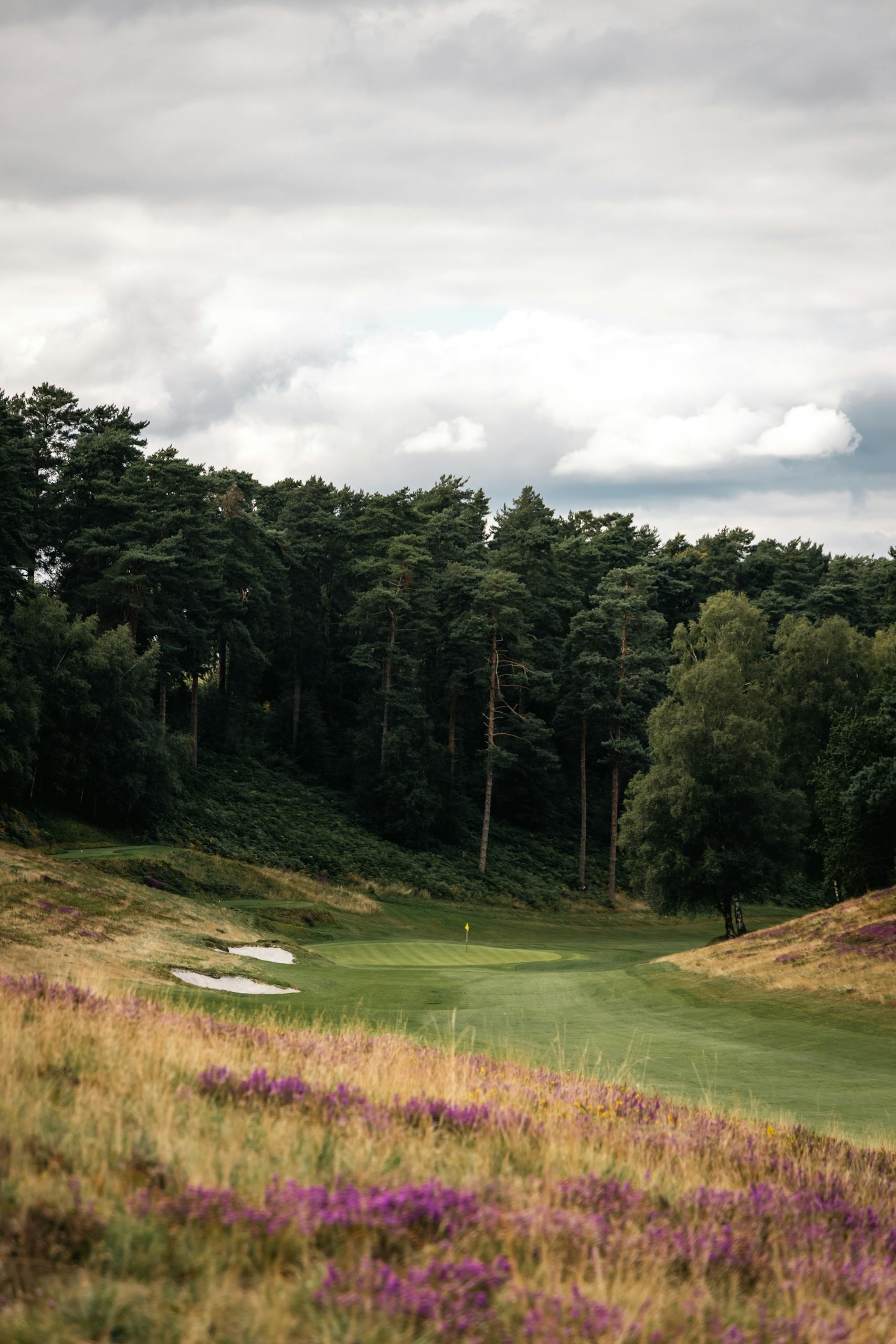 Tranquil golf course landscape in England, showcasing lush greenery and purple wildflowers.